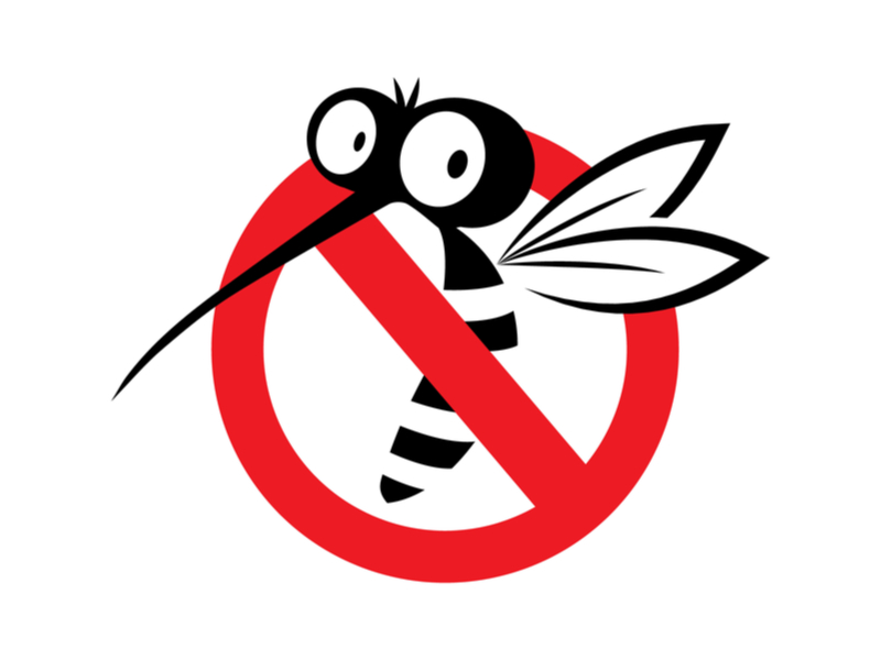 Critical illness plan or a dengue protect plan? Critical illness plan or a dengue protect plan?